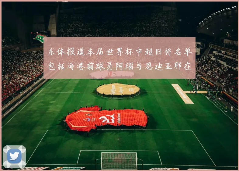 东体报道本届世界杯中超旧将名单包括海港前球员阿瑙与恩迪亚耶在内的10位球员